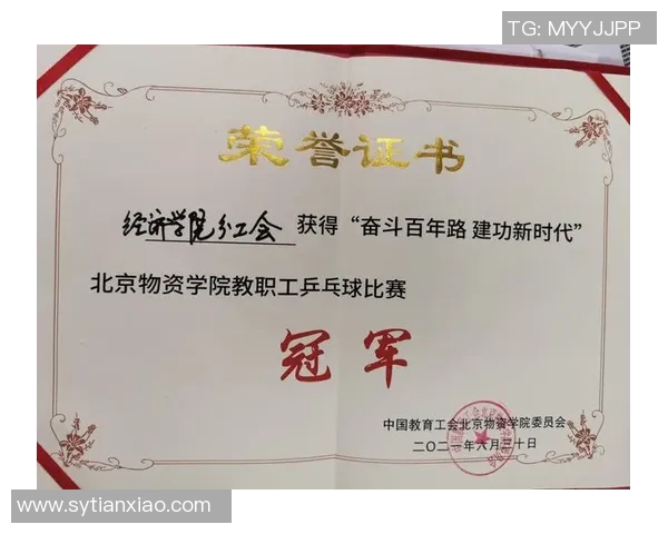 北京乒乓球队比赛经验分析与提升策略探讨