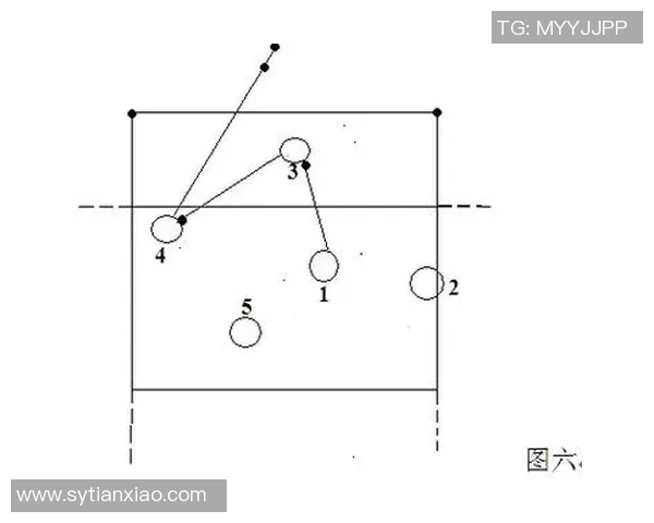 广州排球队进攻体系解析与战术创新探讨 广州排球队进攻体系解析与战术创新探讨