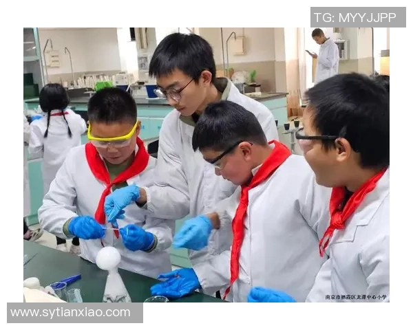 王静的网球人生深度对话探索她的奋斗与梦想之路 王静的网球人生深度对话探索她的奋斗与梦想之路