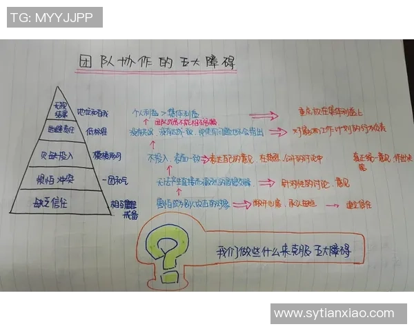 南京排球队意识探讨：提升团队协作与竞技水平的关键因素分析