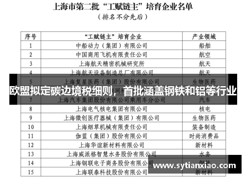 欧盟拟定碳边境税细则，首批涵盖钢铁和铝等行业